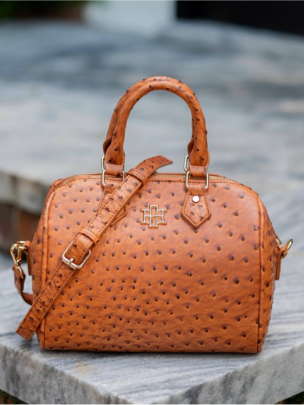 Caroline Hill Valerie Saddle EO Purse